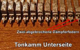 Tonkamm Daempfer 04.JPG